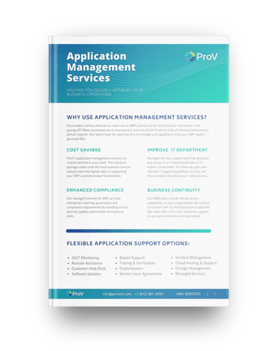 IFS Applications Management Services
