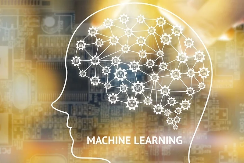 machine learning brain map